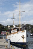 chico tobermory whyw25 800_7233